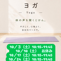 画像242